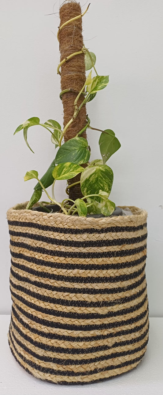 MACETERO DE YUTE Y ALGODON